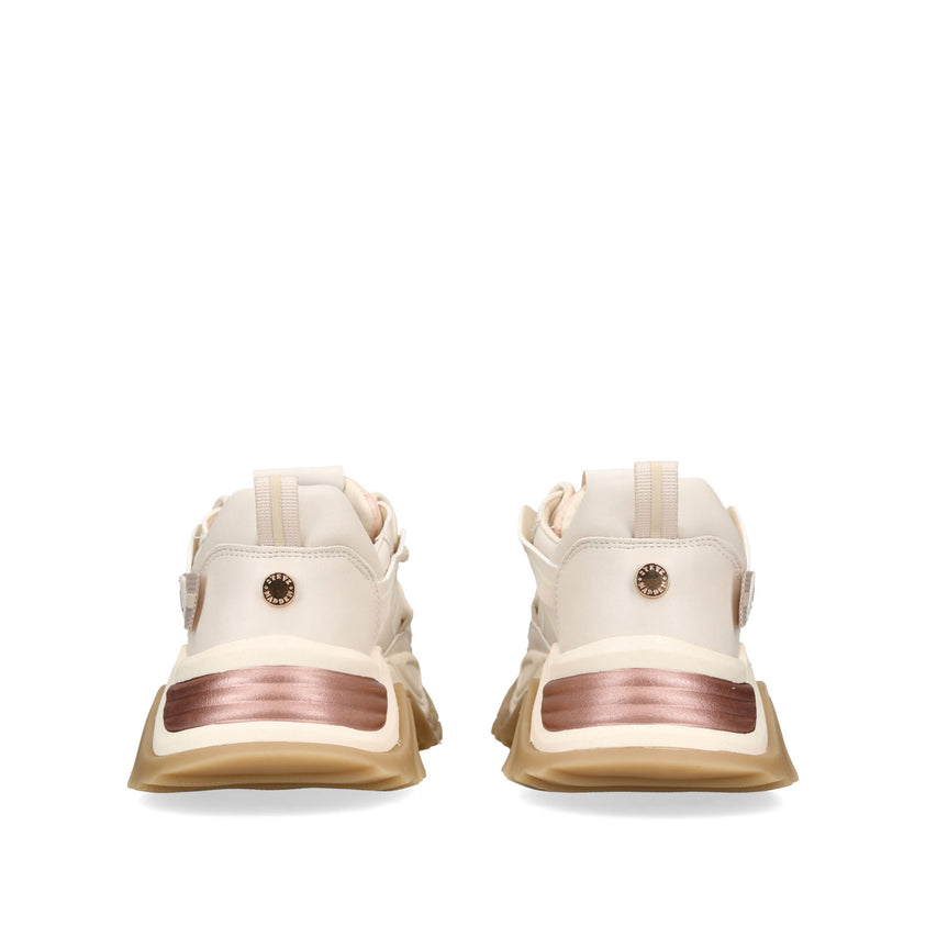 KINGDOM-E 10M CREAM ROSE