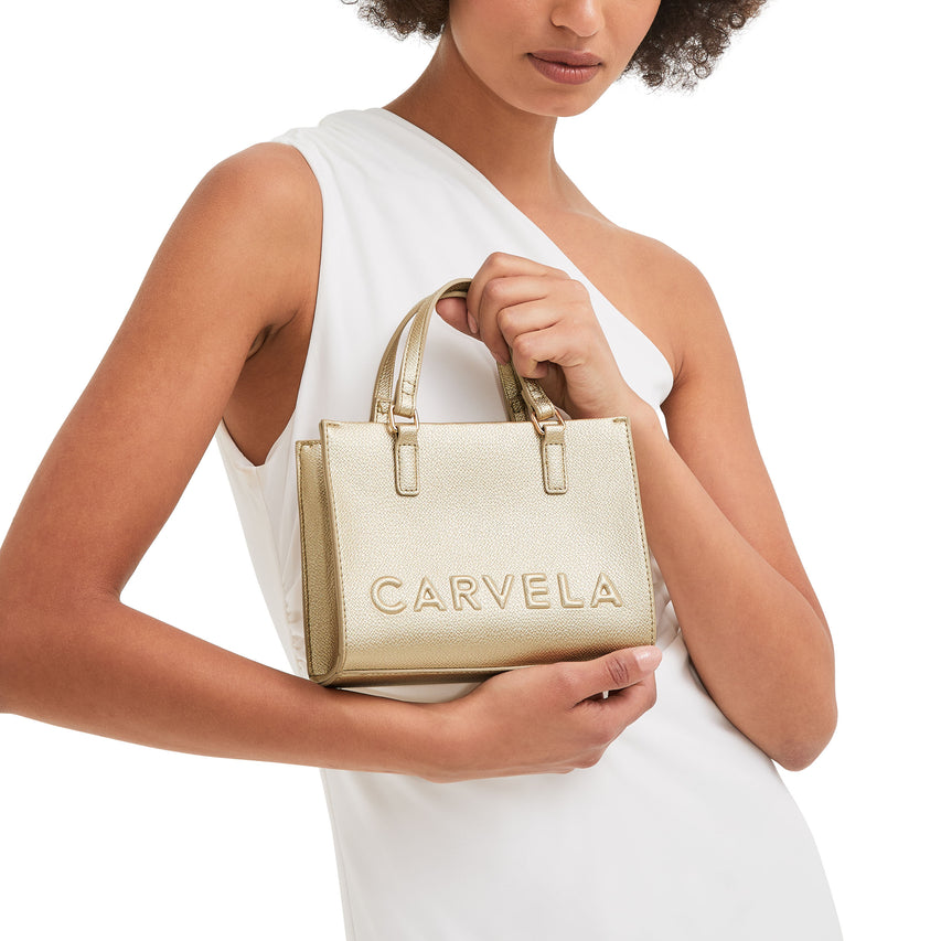 FRAME MINI TOTE