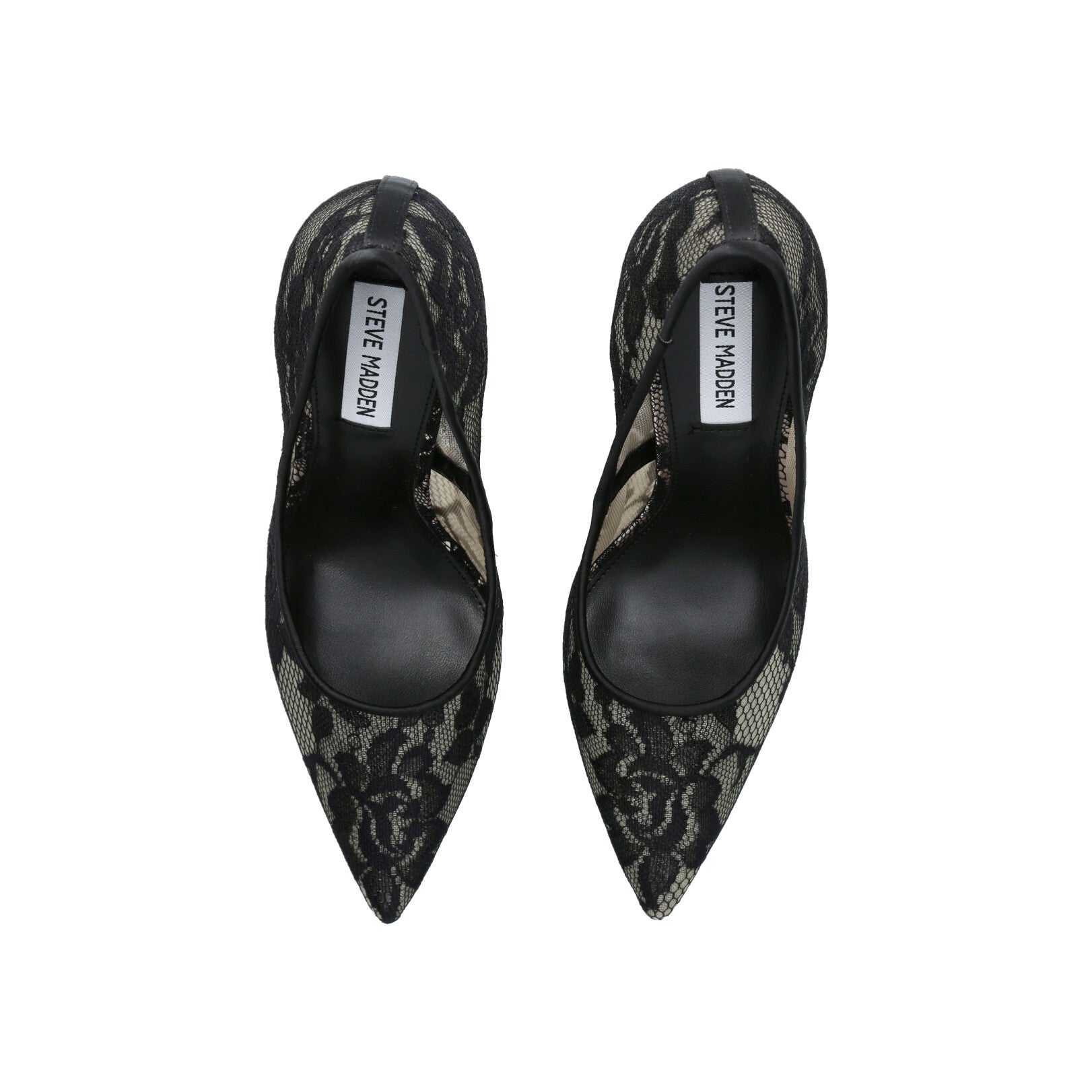 EVELYN-L 169 BLK LACE
