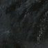 VINETTA 017 BLACK LEATHER