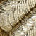 DEVOTEE LGL LT GOLD
