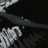 DAZZLED 017