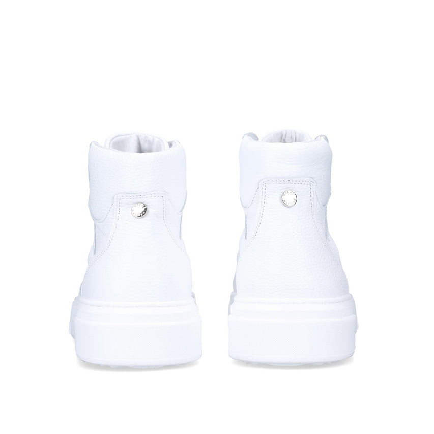 OTTO COURT HI